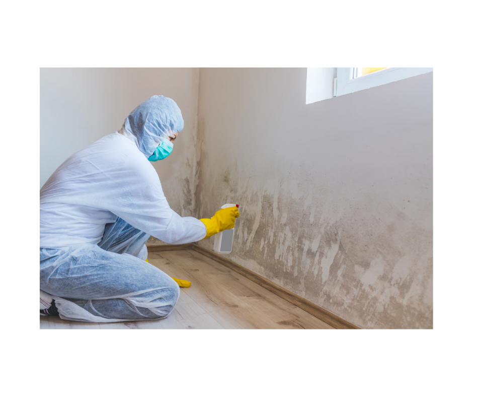 Mold Remediation