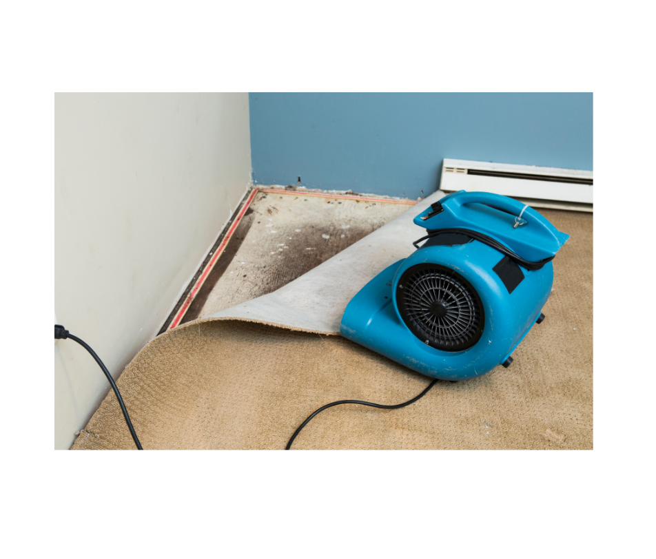 Restorly technician on a Long Island job site